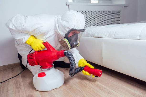 Best Bed Bug Extermination  in Salmon Brook, CT